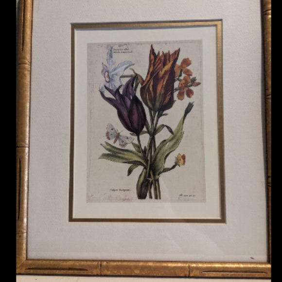 6"x9" 17th Century Nicolas Robert Original Print French Artist 1600s Antique - Picture 5 of 6